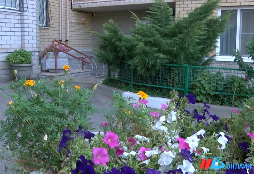 Озеленение двора многоквартирного дома своими руками (42 фото)